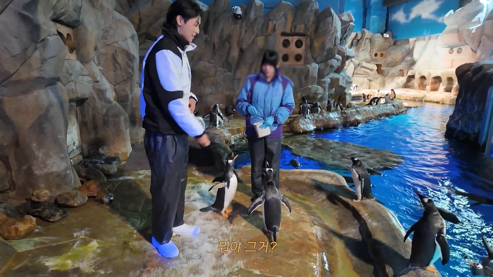 姜敏赫於香港海洋公園慶生及獻出人生初體驗 暢玩水族館及親手餵飼企鵝（圖：香港海洋公園 提供）